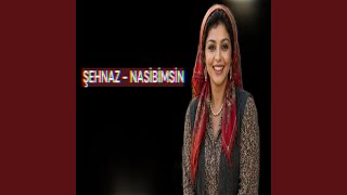 Nasibimsin