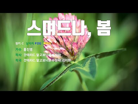 [은성 반주기] 스며드나,봄 - 홍진영