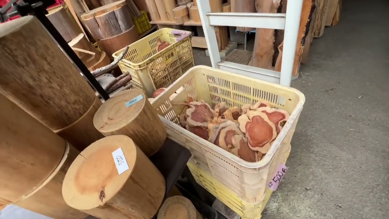 【材木屋】材木を買いにきましたが…和歌山県かつらぎ町【峠の１００円店】