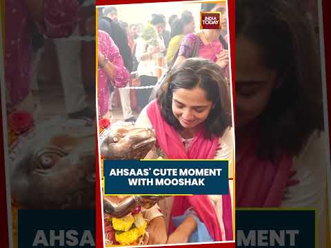 Ahsaas Channa Shares A Cute Moment With BappaтАЩs Mooshak #bappa #ahsaaschanna #bollywood