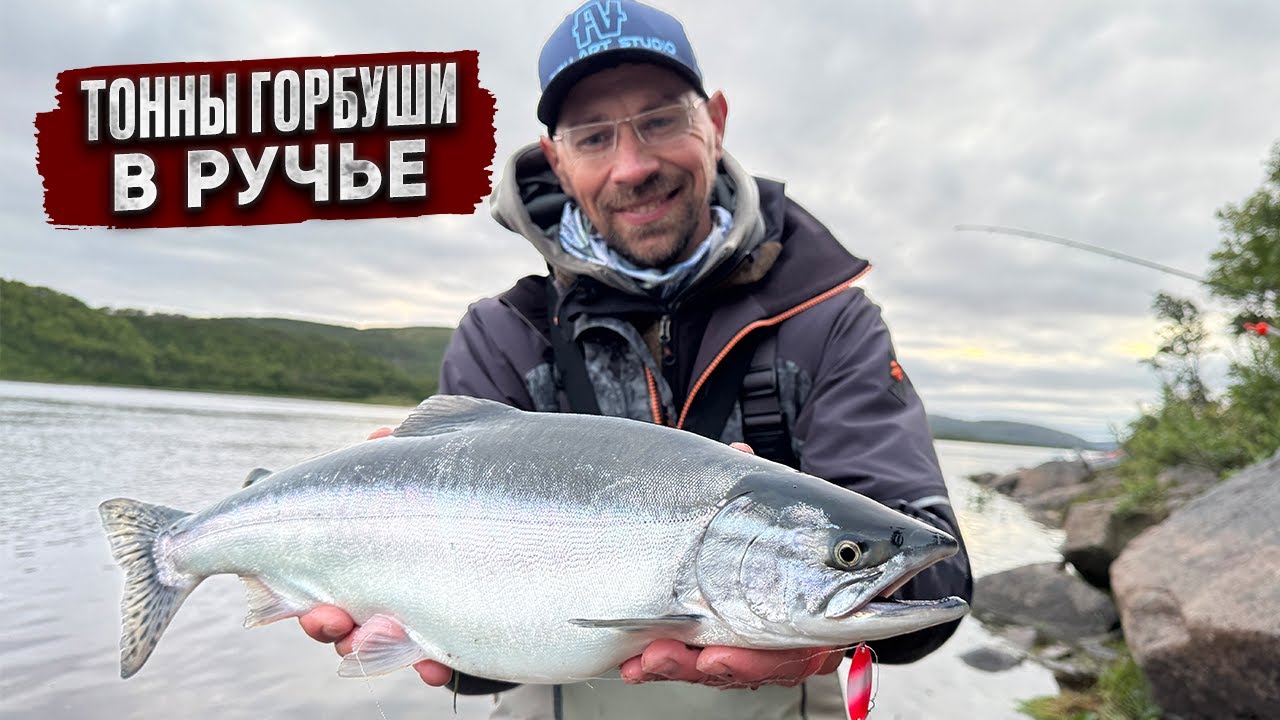 ТОННЫ ГОРБУШИ зашли в РУЧЕЙ на нерест! МЕДВЕДИ, рыбалка и красоты КОЛЬСКОГО полуострова!