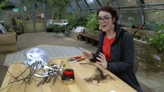 Grafting apple trees - guide to whip and tongue grafting (bench grafting) for fruit trees