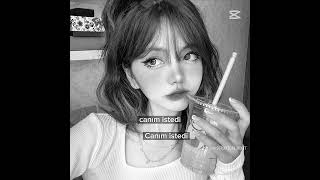 Prim Kasmak Için Degil