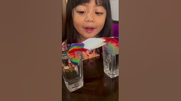 Rainbow🌈 walking water experiment😁