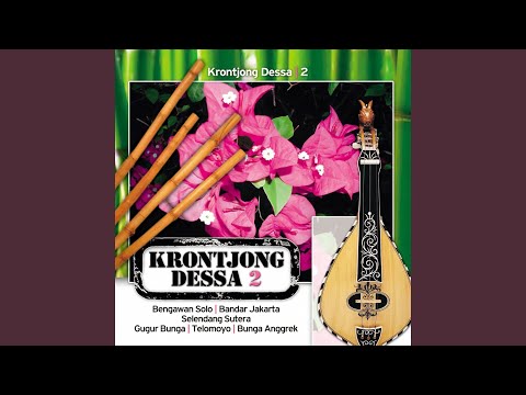 Putar Bengawan solo - Chintya