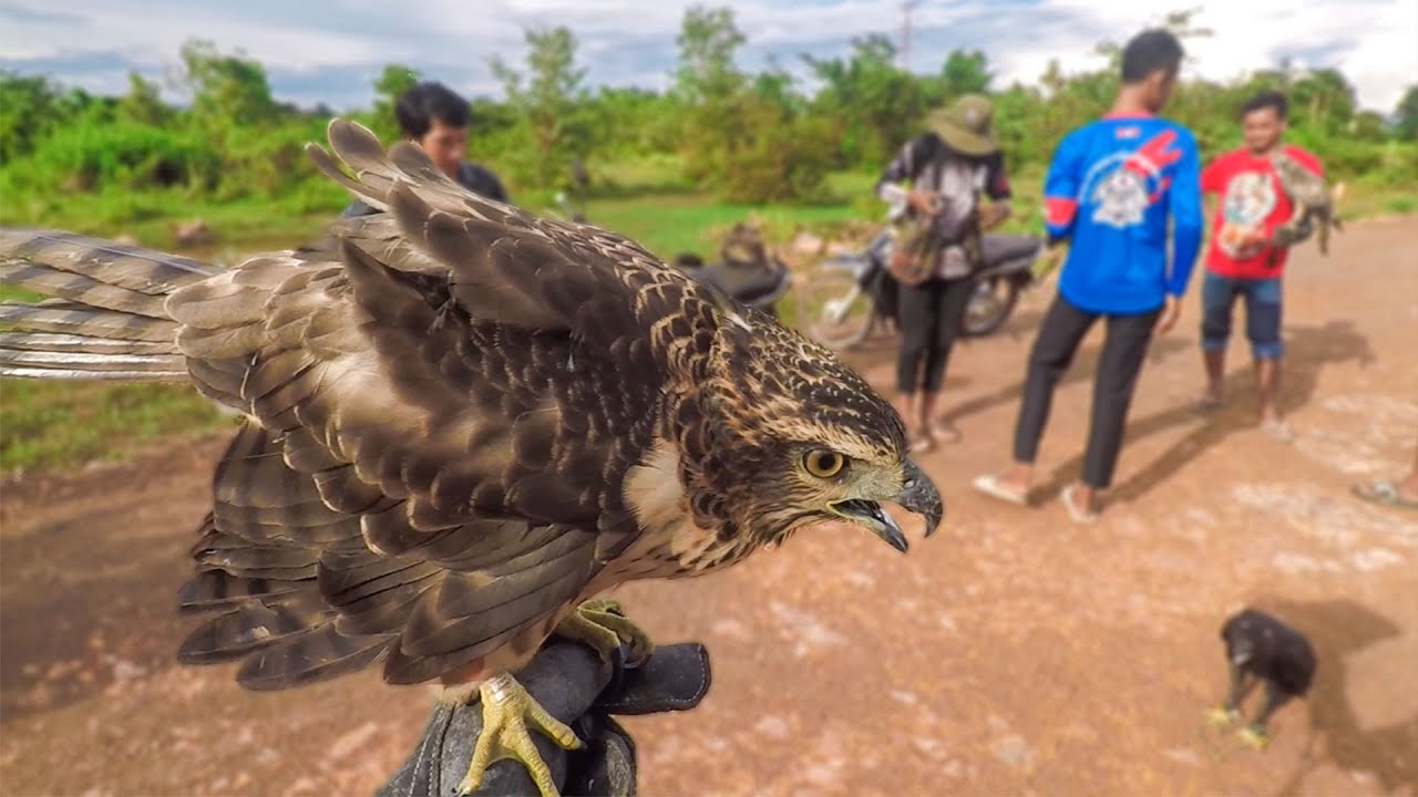 ចូលចិត្តសប្បាយៗ​​​​​​​​​​​​​​​​​​​​​​ Like to have fun