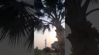 Park in lahore ... neat and clean atmosphere ... tracking route swings monkey bar slide seesa