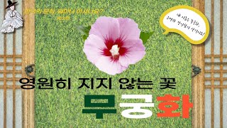 [SUB] 한국의 문화, 얼마나 아시나요❓| *제2편*…