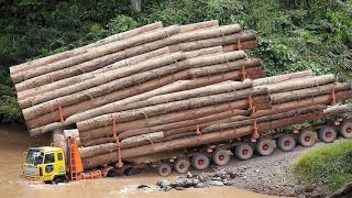 Dangerous Fastest Wood Dump Truck Overload Driving Skill, Most Crazy Truck Climber &amp; Cross Operator