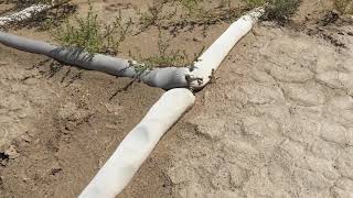 Combat Desertification in Minqin Desert-China