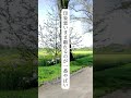 12.本気で復縁したい人は