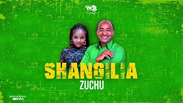 Zuchu - Shangilia (Official Audio)