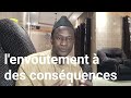 Grand marabout dafrique thierno amadou gueye  dit que lenvotement  des consquences 221775465019