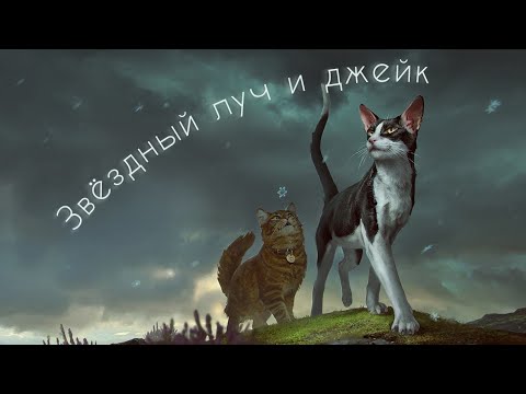 Звёздный Луч и Джейк