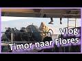 Vlog - Timor naar Flores