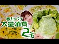 【大食い】【大量消費】春キャベツ ！4kg超！ 巨大メンチカツ・クリームパスタ・わんぱくサンド・やみつきキャベツ【ロシアン佐藤】【RussianSato】