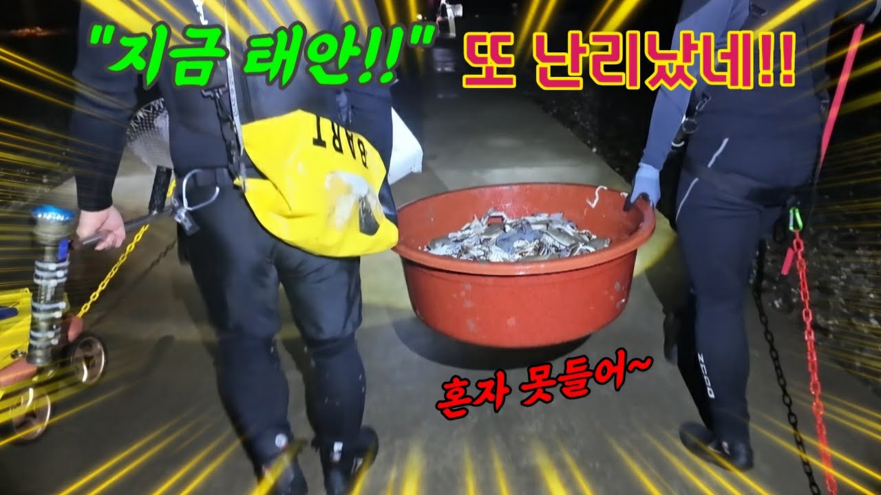 쓸려나간 바닷물에 대 발생한 해수욕장 옆 해변! 가득 들어찬 인원!