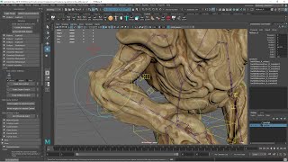 Famous testing joint based corrective controls from Advanced Skeleton Profile