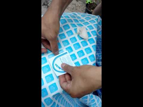 Cómo parchar piscina