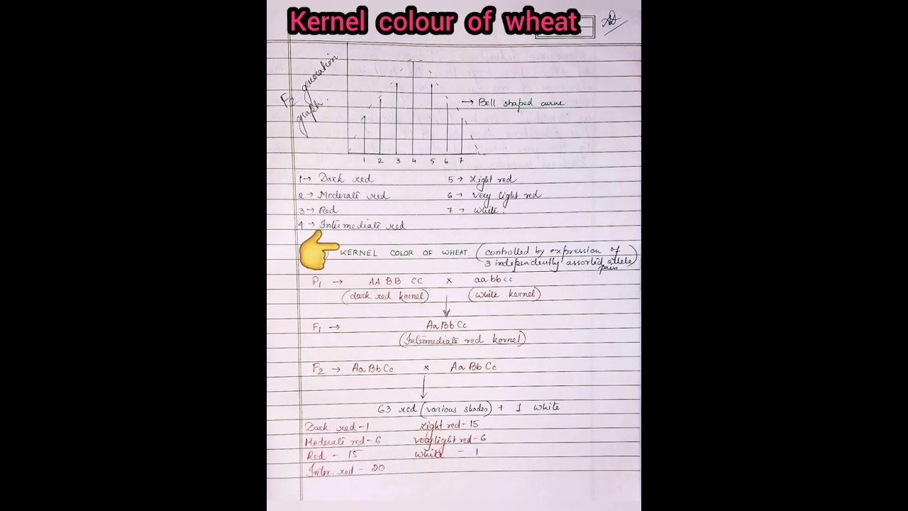 Quantitative Inheritance 