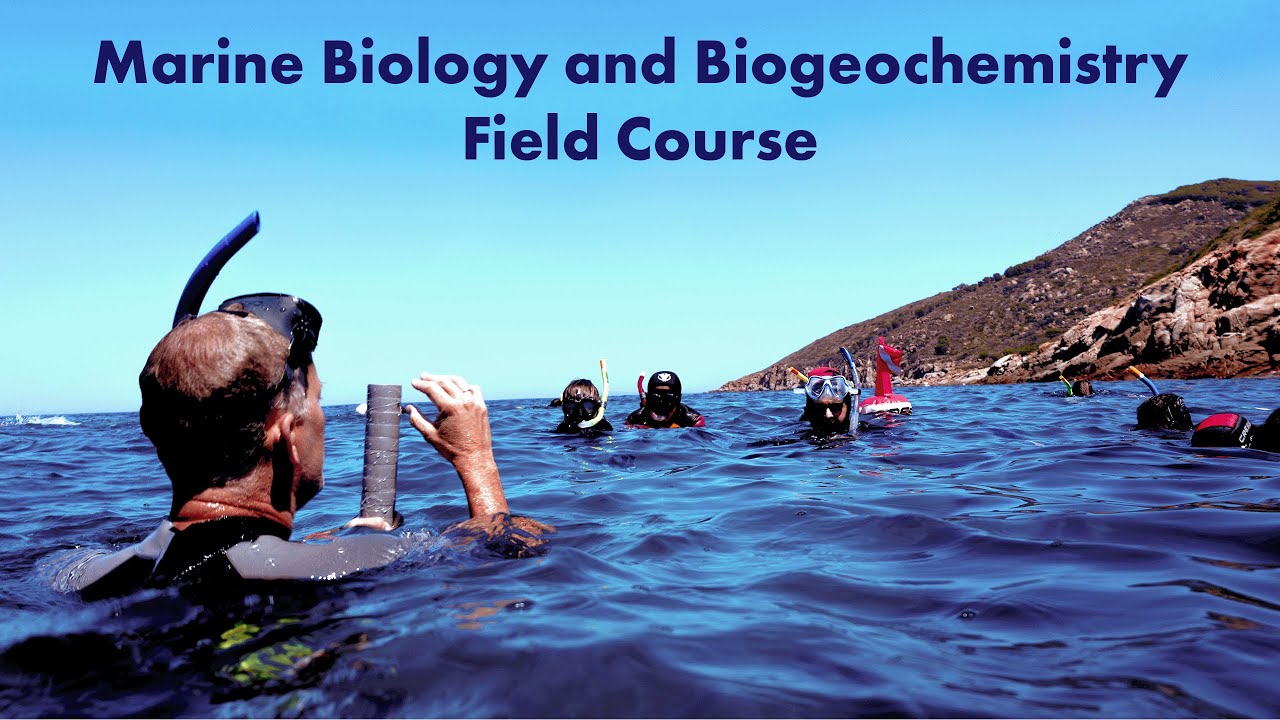 Field Course in Marine Biology and Biogeochemistry | Environmental ...