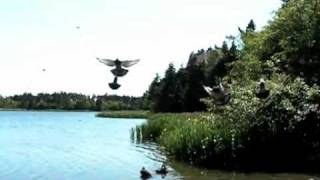 Slow Motion Landing