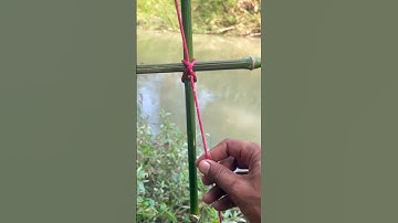 Red Rope Tied Around a Bamboo Stick Forming a Loop Knot#video#knot #shortvideo 👍