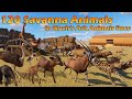 120 Savanna Animals Race In Noah S Ark Planet Zoo Included Lion Elephant Giraffe Horse Hippo