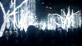 {20151204} Lights & Sounds Show at Ayala Triangle Gardens