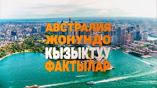 АВСТРАЛИЯ жонундо таң калычтуу кызыктуу фактылар | Кенгурунун мекенине саякат