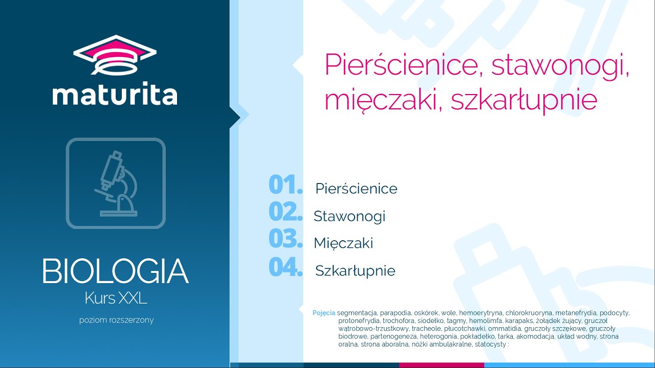 12. Bezkręgowce II - Kurs maturalny z biologii - demo kursu XXL - YouTube