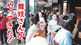 A large number of maiko wearing a beautiful kimono showed up!