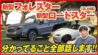 ギア感マシマシ新バージョン!! ホンダ[N-BOX JOY]に[ビックリ]な理由