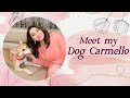 Meet Madhuri Dixit’s dog Carmello | Madhuri Dixit Nene