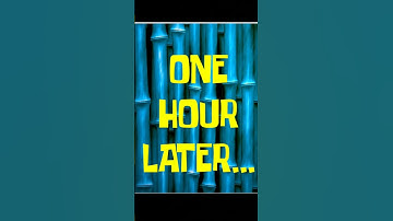 They make FAKE bus tickets