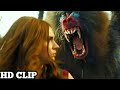 Mandrill Monkeys Attack [HD CLIP] - Jumanji: Next Level - New adventure