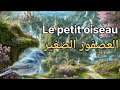 تعلم اللغة الفرنسية قصص باللغة الفرنسية قصة العصفور الصغير