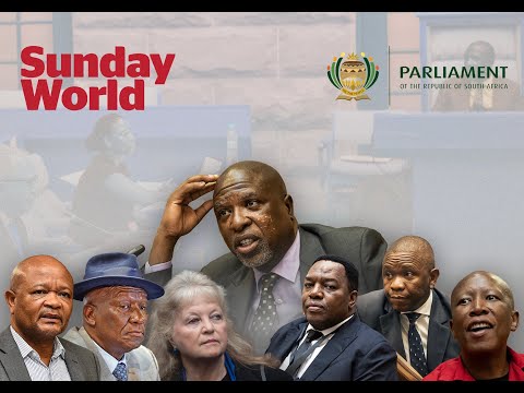 Ad Hoc Committee To Investigate Allegations Made By Lieutenant General Mkhwanazi 26 November 2025