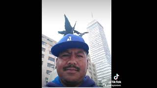 El Niño Plió Su Sueño Y Tiene Su Campo De Rosas. El Rojo Se Lo Dijo A Crisitina Pacheco