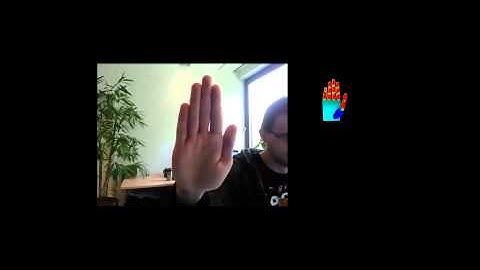 3D Hand Tracking Using a Depth Sensor