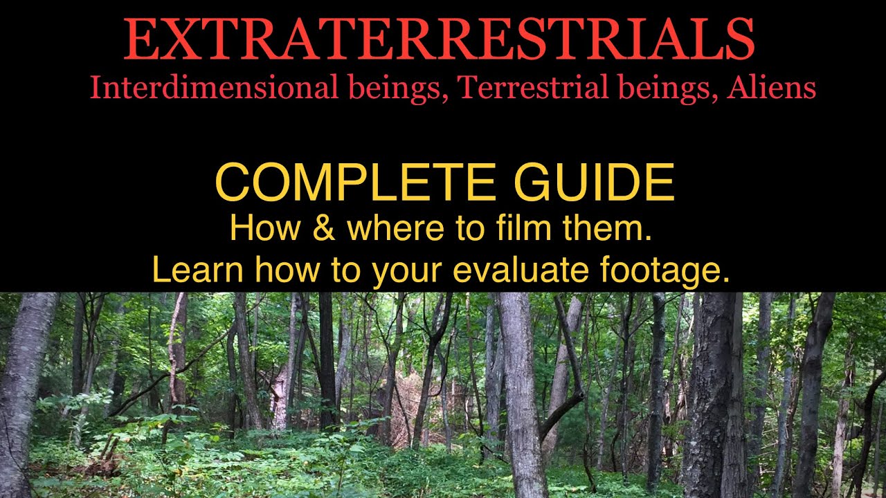 Inter dimensional beings/entities: How to find and film them ...