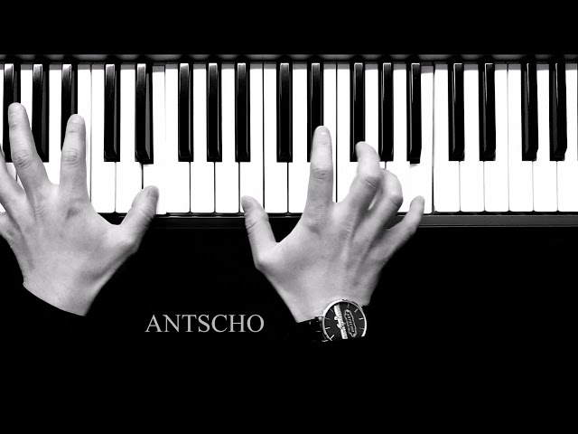 Dance Trap - [Official Video] ANTSCHO
