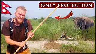 Travel vlog - I Walked 12h in Wild Tiger Reserve - Nepal Chitwan