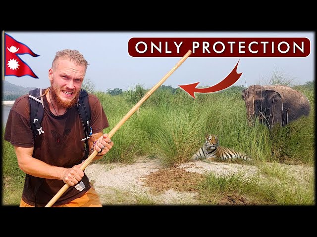 Travel vlog - I Walked 12h in Wild Tiger Reserve - Nepal Chitwan