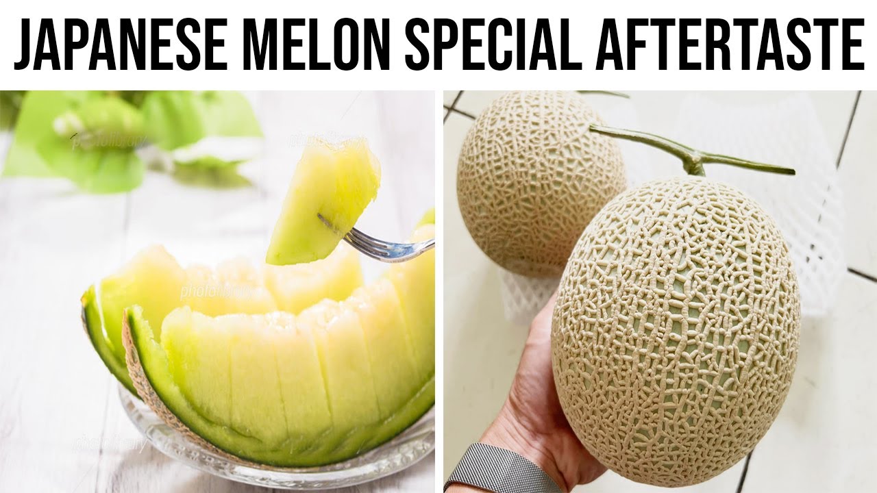 [Review] Japanese Melon (Cantaloupe) Green flesh Soft Sweet