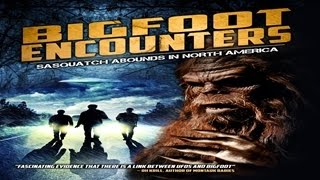 Bigfoot Encounters - Shocking New Sightings and Evidence!