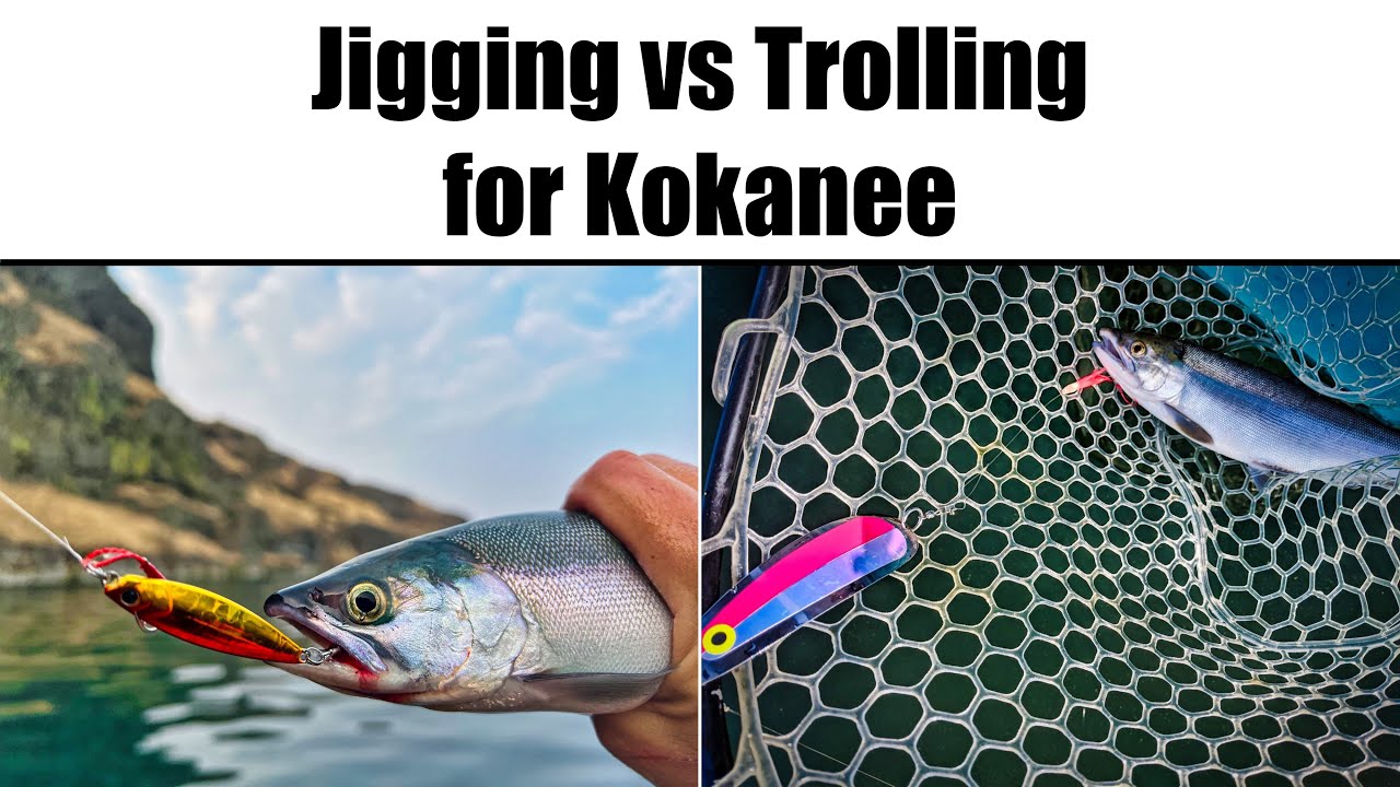 Jigging vs Trolling for Kokanee 