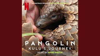 You Have to Let Go - Anne Nikitin & Zolani Mahola