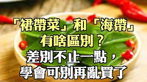 「裙带菜」和「海带」有啥区别？差别不止一点，学会可别再乱买了 - 天天要闻