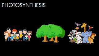 MOTION GRAPHICS|DIGITAL INSTRUCTIONAL MATERIALS